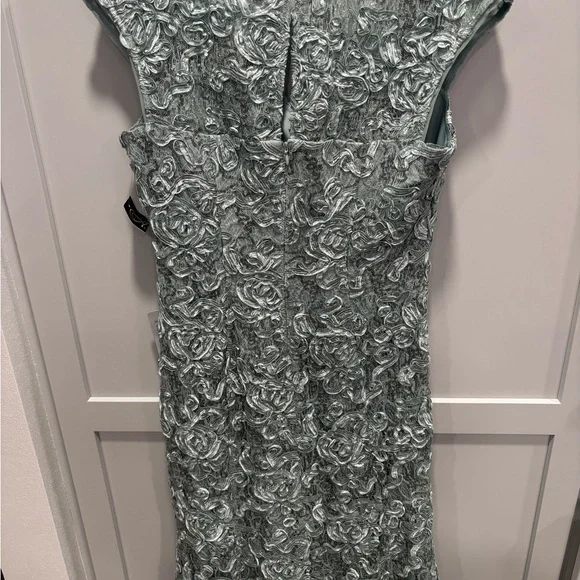 Alex Evenings ELEANOR SWEETHEART NECK DRESS NWT Size 10 Retail $299 - Picture 5 of 11